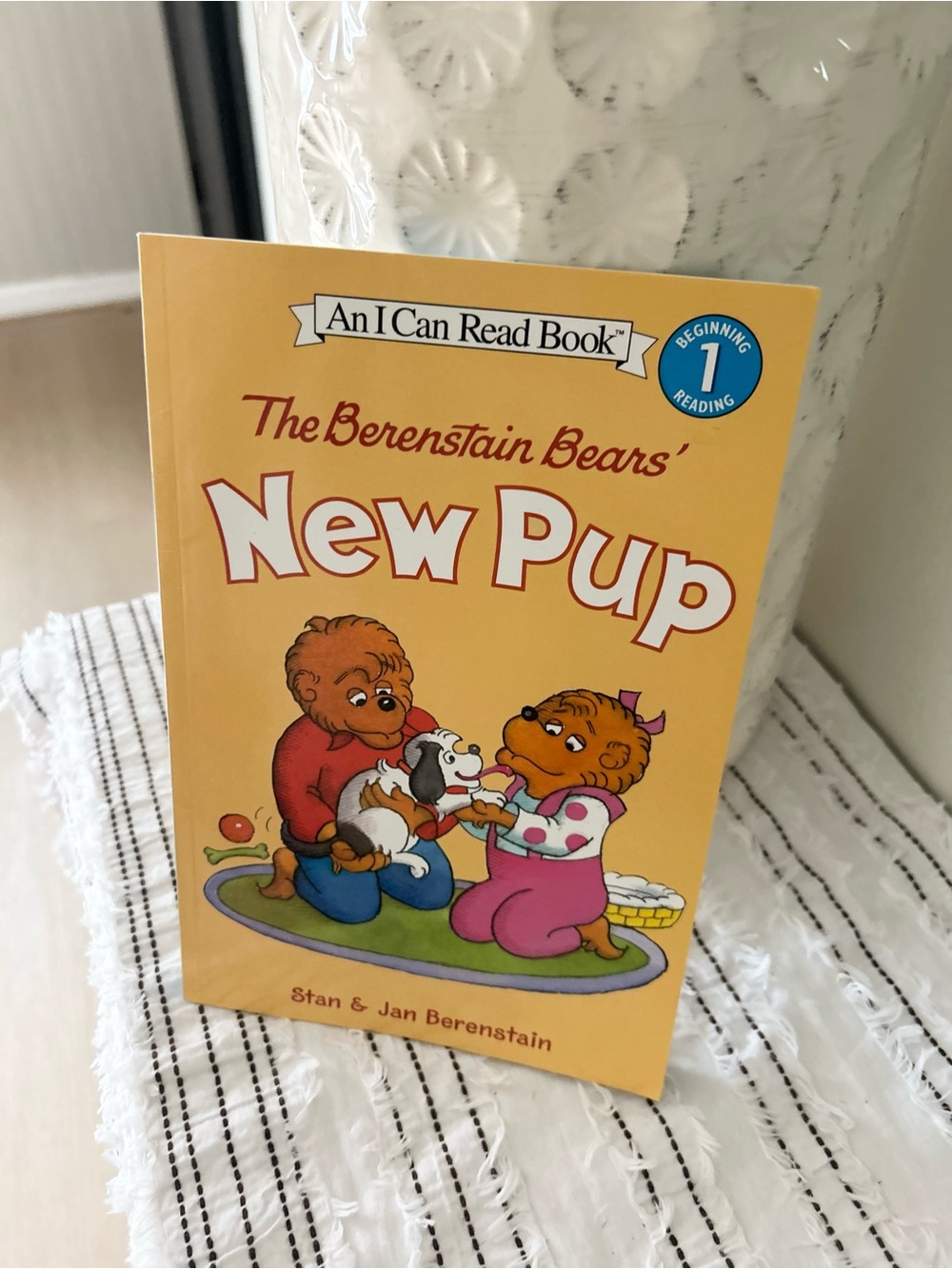 Berenstain Bears New Pup I Can Read Level 1 Kids Beginner Book